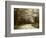 Road Through Autumn Trees, Green Mountain National Forest, Vermont, USA-Adam Jones-Framed Photographic Print