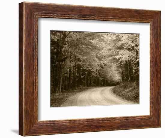 Road Through Autumn Trees, Green Mountain National Forest, Vermont, USA-Adam Jones-Framed Photographic Print