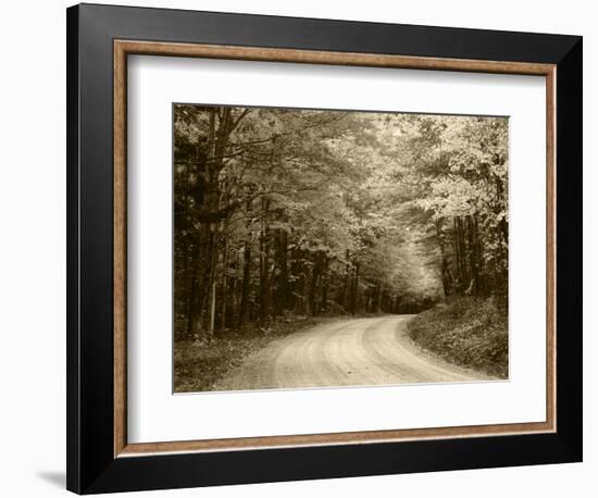 Road Through Autumn Trees, Green Mountain National Forest, Vermont, USA-Adam Jones-Framed Photographic Print