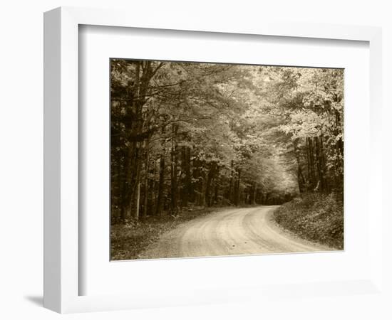 Road Through Autumn Trees, Green Mountain National Forest, Vermont, USA-Adam Jones-Framed Photographic Print