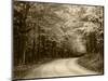 Road Through Autumn Trees, Green Mountain National Forest, Vermont, USA-Adam Jones-Mounted Photographic Print