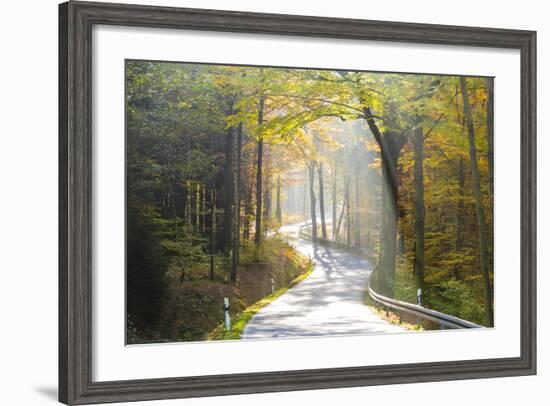 Road Through Autumn Woodland, Saxon Switzerland, Saxony, Germany-Peter Adams-Framed Photographic Print