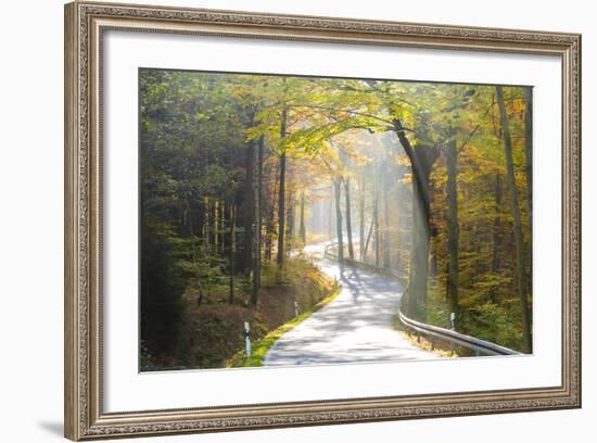 Road Through Autumn Woodland, Saxon Switzerland, Saxony, Germany-Peter Adams-Framed Photographic Print