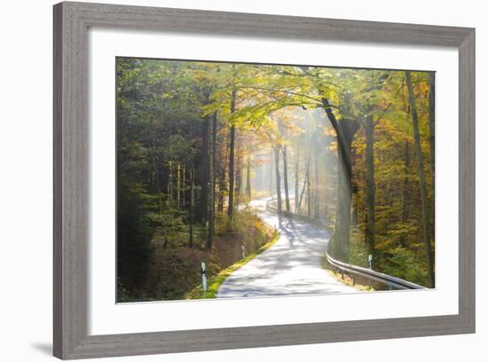 Road Through Autumn Woodland, Saxon Switzerland, Saxony, Germany-Peter Adams-Framed Photographic Print