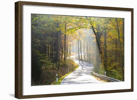 Road Through Autumn Woodland, Saxon Switzerland, Saxony, Germany-Peter Adams-Framed Photographic Print