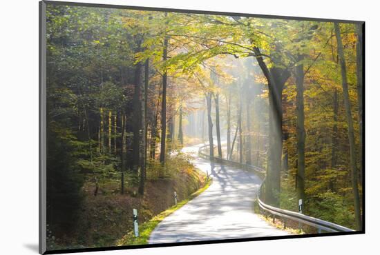 Road Through Autumn Woodland, Saxon Switzerland, Saxony, Germany-Peter Adams-Mounted Photographic Print