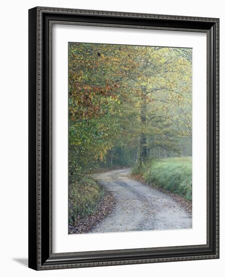 Road through Cataloochee Valley, Great Smokey Mountians National Park, North Carolina, USA-Adam Jones-Framed Photographic Print