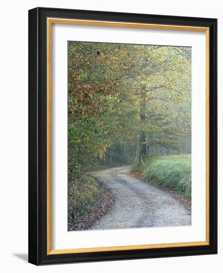 Road through Cataloochee Valley, Great Smokey Mountians National Park, North Carolina, USA-Adam Jones-Framed Photographic Print