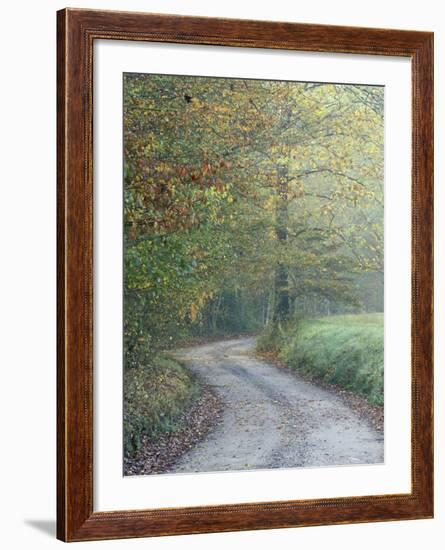 Road through Cataloochee Valley, Great Smokey Mountians National Park, North Carolina, USA-Adam Jones-Framed Photographic Print