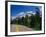 Road Through Glacier National Park-Mick Roessler-Framed Photographic Print