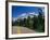 Road Through Glacier National Park-Mick Roessler-Framed Photographic Print