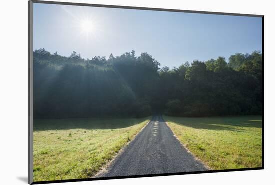 Road through meadow in the forest with sun, Wuerzburg, Franconia, Bavaria, Germany-Raimund Linke-Mounted Photographic Print