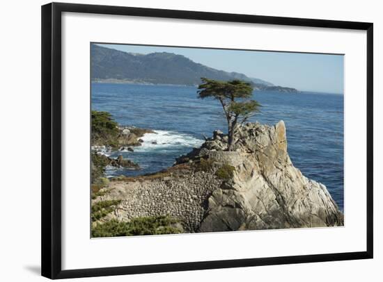 Road Through Pacific Grove and Pebble Beach-Carol Highsmith-Framed Photo