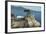 Road Through Pacific Grove and Pebble Beach-Carol Highsmith-Framed Photo