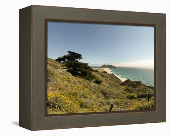 Road Through Pacific Grove and Pebble Beach-Carol Highsmith-Framed Stretched Canvas