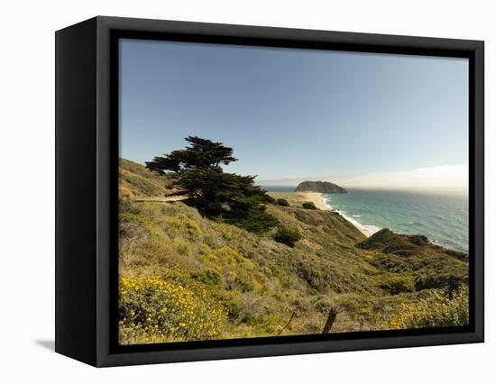 Road Through Pacific Grove and Pebble Beach-Carol Highsmith-Framed Stretched Canvas