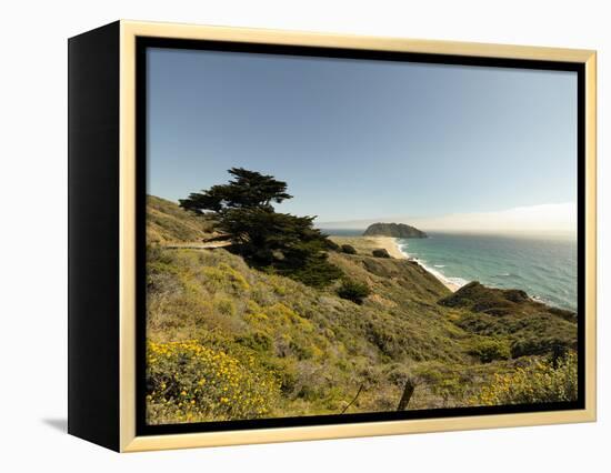 Road Through Pacific Grove and Pebble Beach-Carol Highsmith-Framed Stretched Canvas