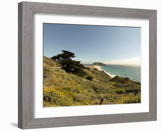 Road Through Pacific Grove and Pebble Beach-Carol Highsmith-Framed Photo