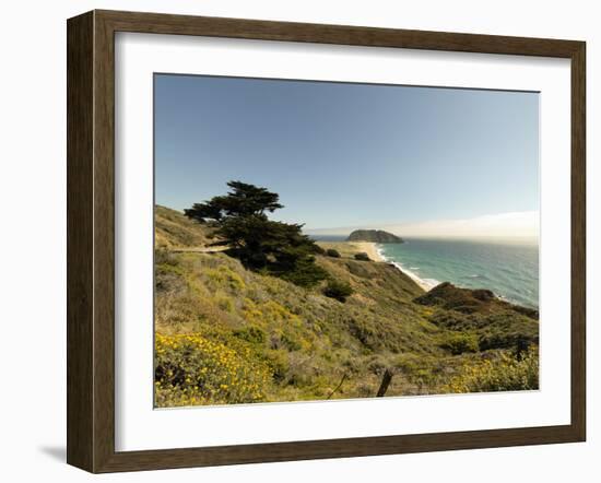 Road Through Pacific Grove and Pebble Beach-Carol Highsmith-Framed Photo