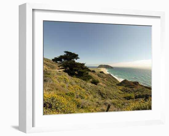 Road Through Pacific Grove and Pebble Beach-Carol Highsmith-Framed Photo