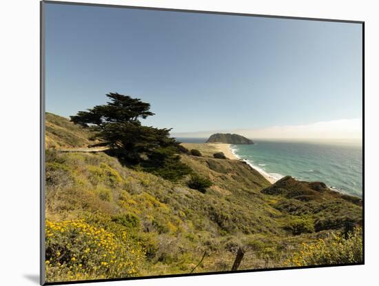 Road Through Pacific Grove and Pebble Beach-Carol Highsmith-Mounted Photo