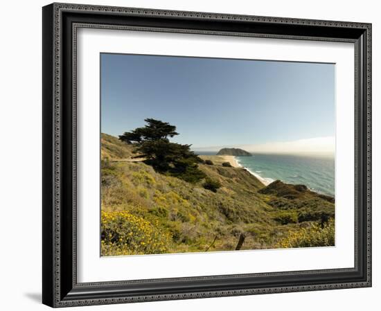Road Through Pacific Grove and Pebble Beach-Carol Highsmith-Framed Photo