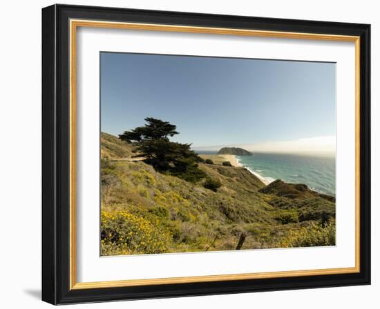 Road Through Pacific Grove and Pebble Beach-Carol Highsmith-Framed Photo