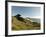 Road Through Pacific Grove and Pebble Beach-Carol Highsmith-Framed Photo