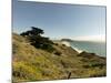 Road Through Pacific Grove and Pebble Beach-Carol Highsmith-Mounted Photo