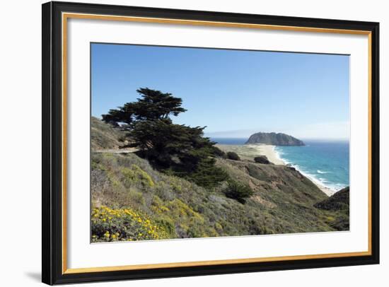 Road Through Pacific Grove and Pebble Beach-Carol Highsmith-Framed Photo