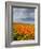 Road through Poppies, Antelope Valley, California, USA-Terry Eggers-Framed Photographic Print