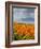 Road through Poppies, Antelope Valley, California, USA-Terry Eggers-Framed Photographic Print