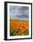 Road through Poppies, Antelope Valley, California, USA-Terry Eggers-Framed Photographic Print