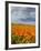 Road through Poppies, Antelope Valley, California, USA-Terry Eggers-Framed Photographic Print