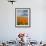 Road through Poppies, Antelope Valley, California, USA-Terry Eggers-Framed Photographic Print displayed on a wall