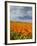 Road through Poppies, Antelope Valley, California, USA-Terry Eggers-Framed Photographic Print