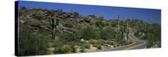 Stretched Canvas Print