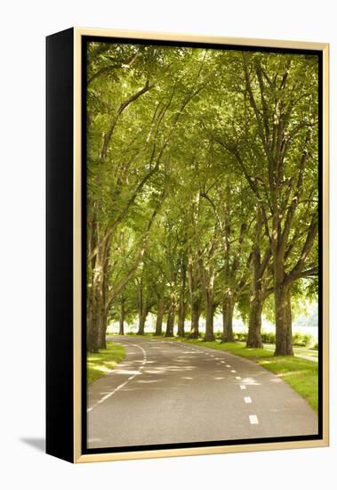 Road Through the Grove-Karyn Millet-Framed Premier Image Canvas