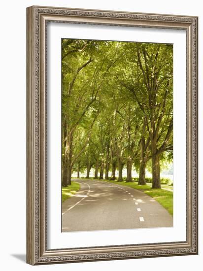 Road Through the Grove-Karyn Millet-Framed Photographic Print