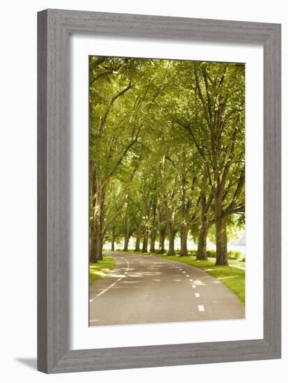 Road Through the Grove-Karyn Millet-Framed Photographic Print