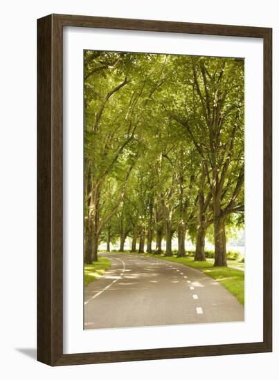 Road Through the Grove-Karyn Millet-Framed Photographic Print