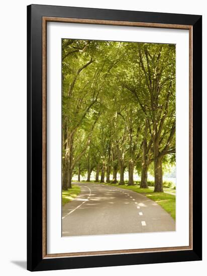 Road Through the Grove-Karyn Millet-Framed Photographic Print