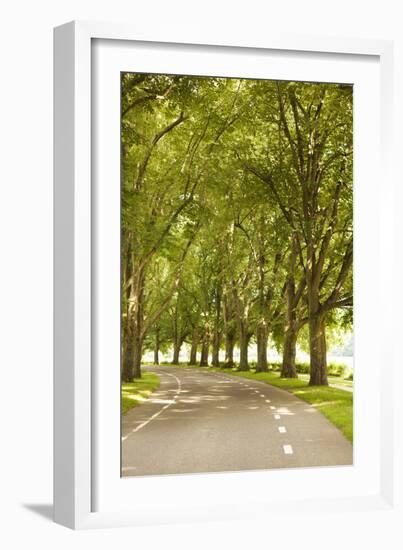 Road Through the Grove-Karyn Millet-Framed Photographic Print