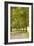 Road Through the Grove-Karyn Millet-Framed Photographic Print