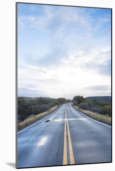 Road Through The National Park Section Of The Black Canyon Of The Gunnison River NP In SW Colorado-Justin Bailie-Mounted Photographic Print