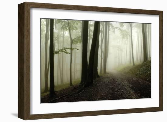 Road Through the Woods-PhotoINC-Framed Photographic Print