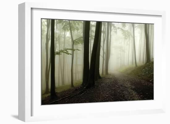 Road Through the Woods-PhotoINC-Framed Photographic Print