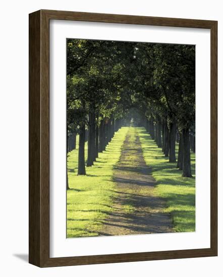 Road Thru Trees, Lexington, Kentucky, USA-Adam Jones-Framed Photographic Print