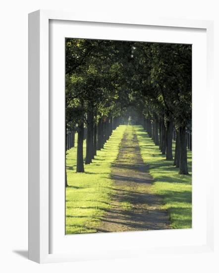 Road Thru Trees, Lexington, Kentucky, USA-Adam Jones-Framed Photographic Print