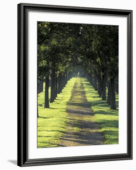 Road Thru Trees, Lexington, Kentucky, USA-Adam Jones-Framed Photographic Print